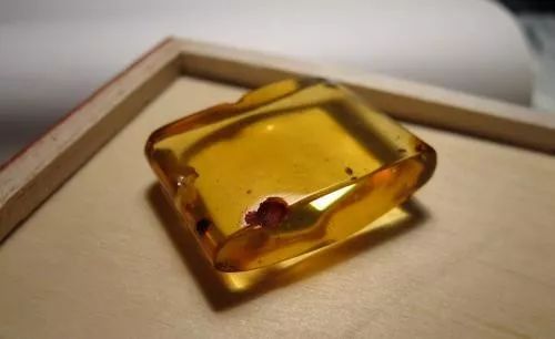 秋天招财季,怎能少了它?最强生财石金珀,这几种人戴了功效翻倍!